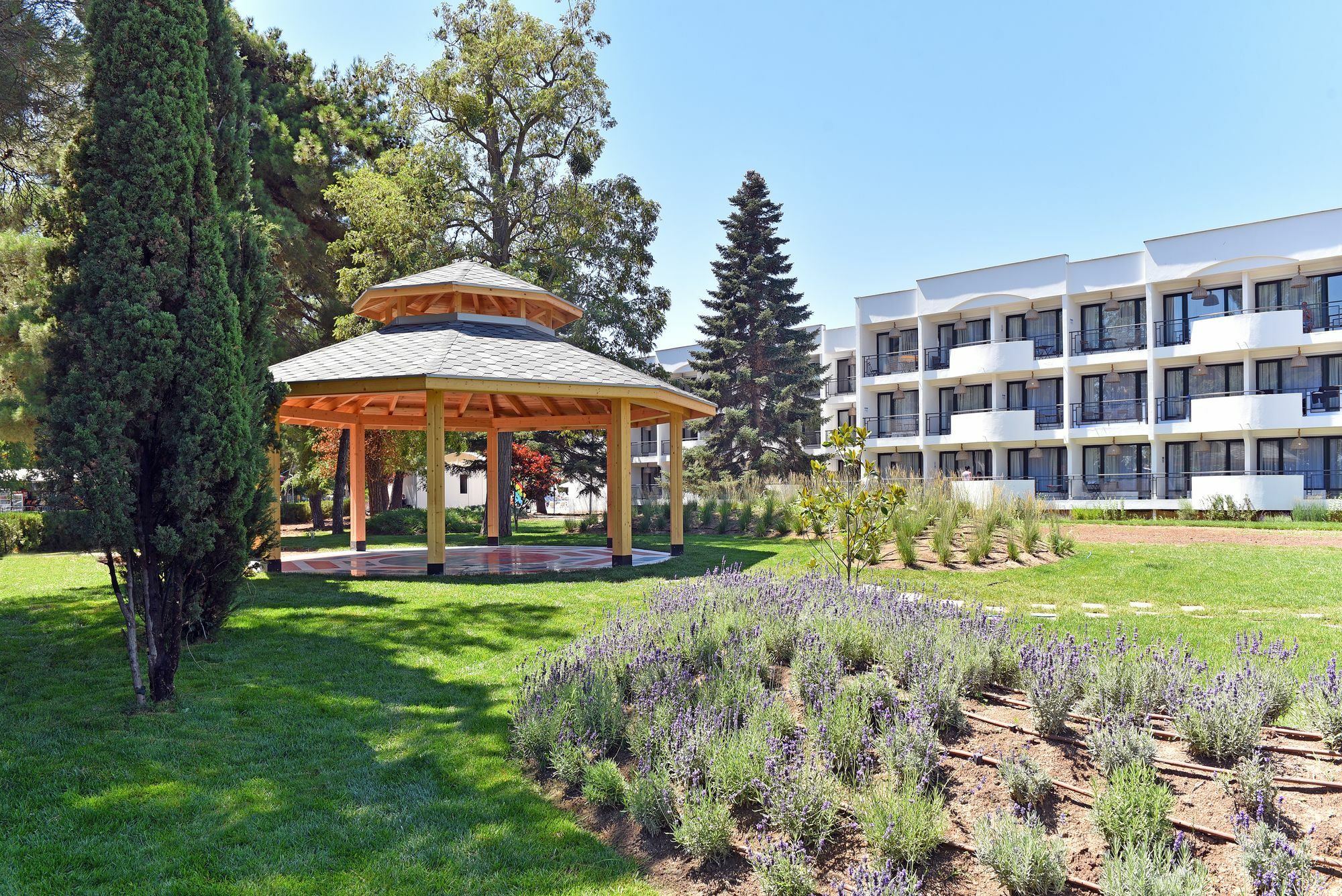 Ihotel סאני ביץ' מראה חיצוני תמונה
