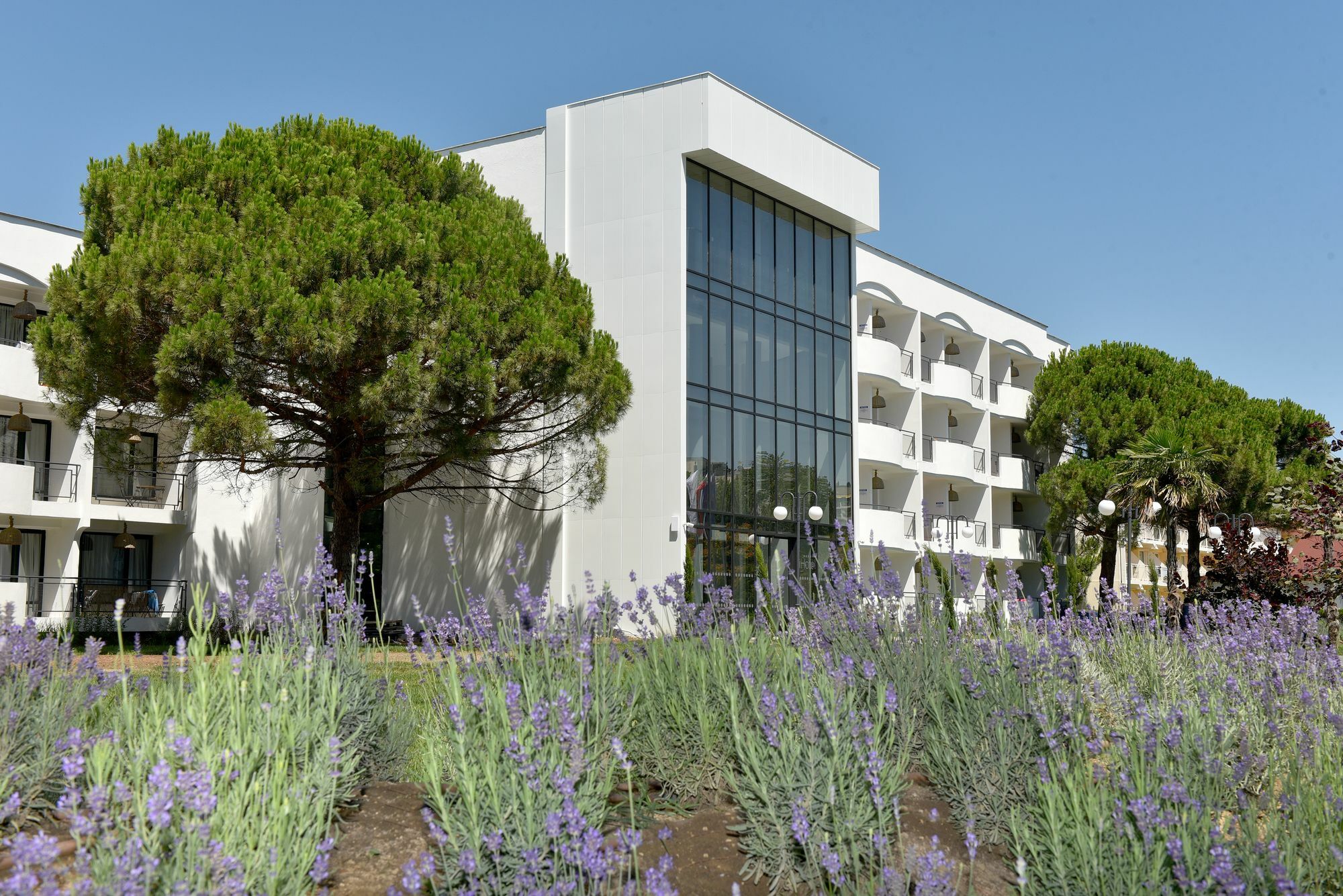 Ihotel סאני ביץ' מראה חיצוני תמונה